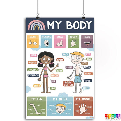 Boho Body Parts Chart Poster Laminated For Preschoolers/Kids, Boho Educational Posters For Toddlers, Learning Posters For Toddlers 1-3, Preschool Homeschool Posters For Kindergarten Classroom Wall Decor - BEAWART