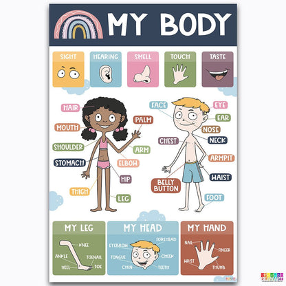 Boho Body Parts Chart Poster Laminated For Preschoolers/Kids, Boho Educational Posters For Toddlers, Learning Posters For Toddlers 1-3, Preschool Homeschool Posters For Kindergarten Classroom Wall Decor - BEAWART