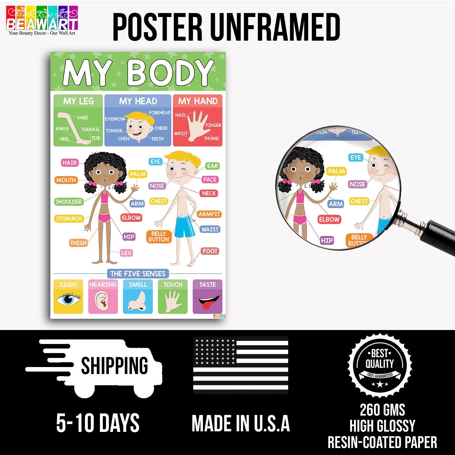 Vibrant Body Parts Chart Poster Laminated For Preschoolers/Kids, Educational Posters For Toddlers, Learning Posters For Toddlers 1-3, Preschool Homeschool Posters For Kindergarten Classroom Wall Decor - BEAWART