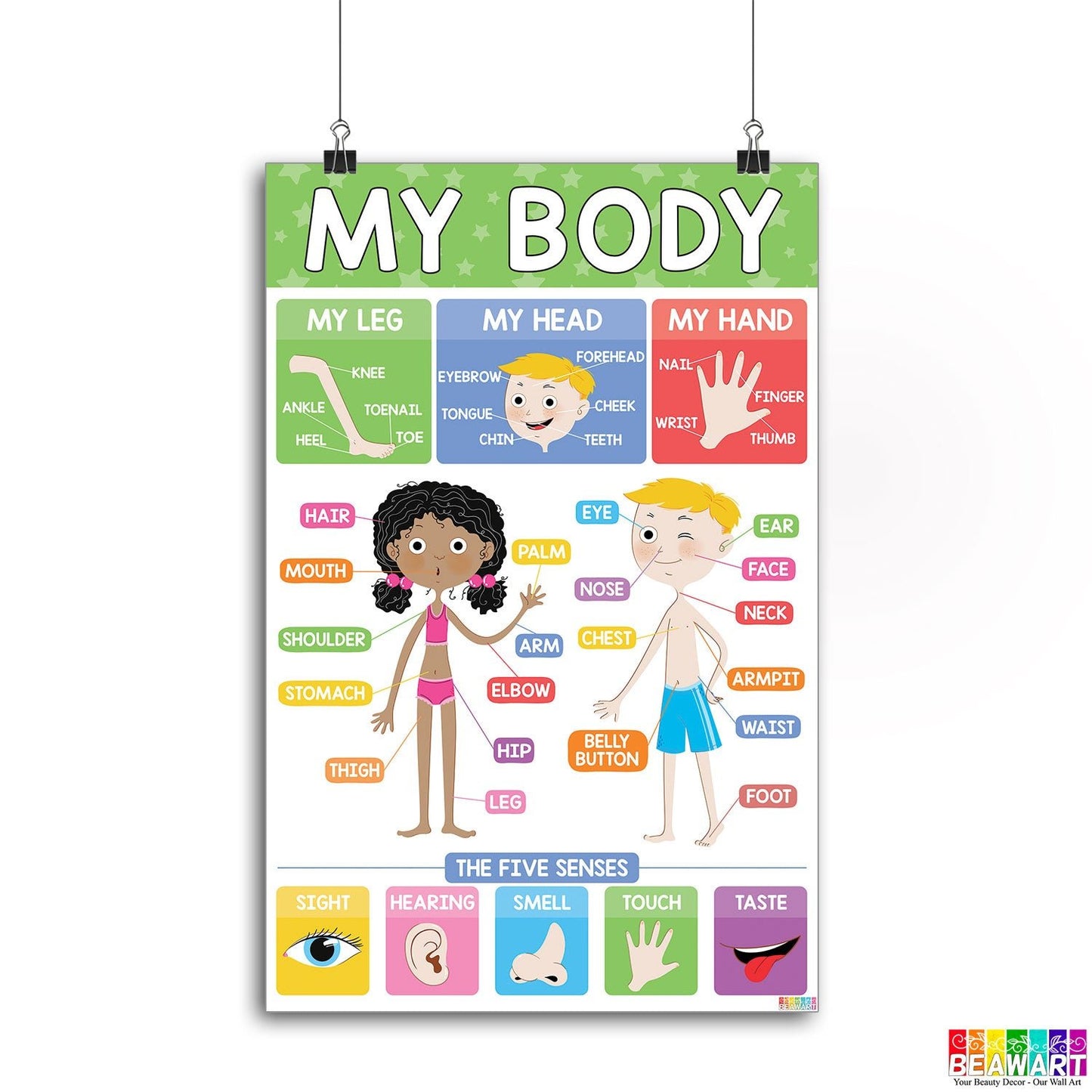 Vibrant Body Parts Chart Poster Laminated For Preschoolers/Kids, Educational Posters For Toddlers, Learning Posters For Toddlers 1-3, Preschool Homeschool Posters For Kindergarten Classroom Wall Decor - BEAWART